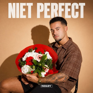 Niet Perfect by No1sy
