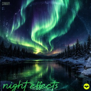 Night Effects by Canary