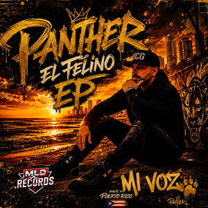 Mi Voz by Panther El Felino