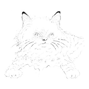 あぶく by 猫は液体