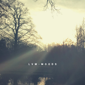 Wounded by LVM