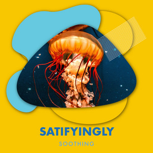zZz Satifyingly Soothing Ocean Harmonies zZz album