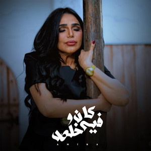 Amina - كان فيه وخلص