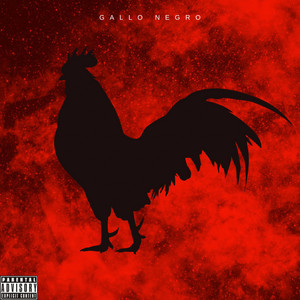 Gallo Negro (En Vivo)