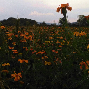 Silent Killers (Hip Hop Instrumental)