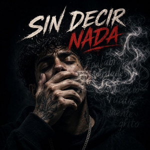 Sin decir nada by Familymusic