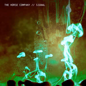 Signal by The Horse Company