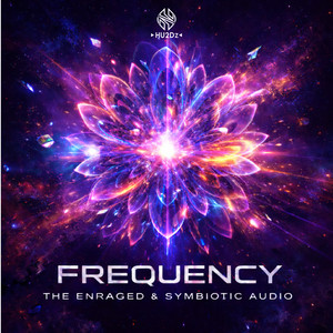 Frequency by The Enraged, Symbiotic Audio