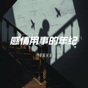 感情用事的年纪 - 节奏版伴奏 by 草原兄弟