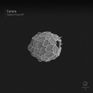 Carara - Code ID 2.0