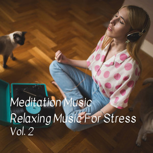 Meditation Music Relaxing Music For Stress Vol. 2 album