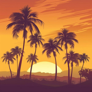 Palm Silhouettes by Kairo Sun