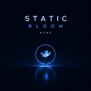 Static Bloom by nvme