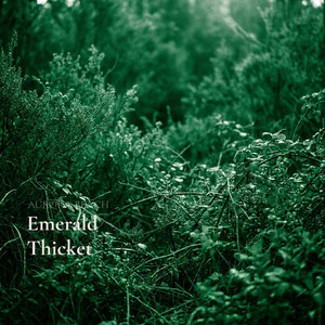 Emerald Thicket by Aurora Beach