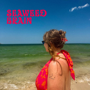 seaweed brain