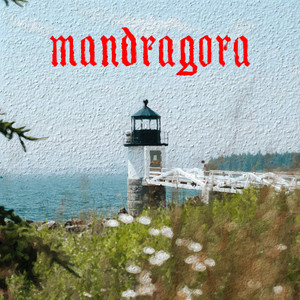 Understand Me - Original mix by Mandragora cover art