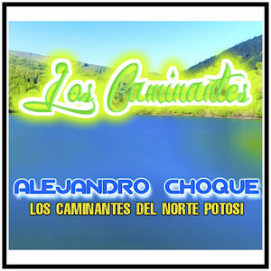 Alejandro Choque los Caminantes del Norte Potosí - Azulejo Burro