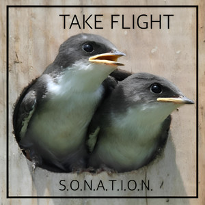 Take Flight - Banco de Gaia Remix by Sonation, Banco De Gaia