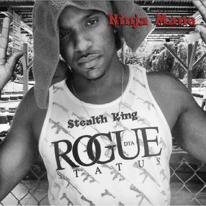 Ninja Mane - Can't Rock Witchu