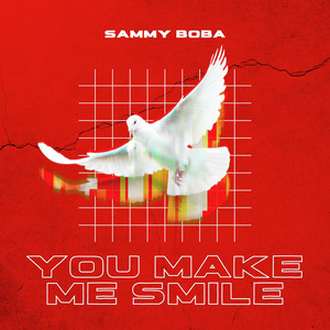 Questions About Life by Sammy Boba