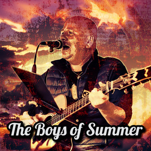 The Boys of Summer - Acoustic