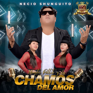 Maestro Pollito y Los Chamos del Amor - Necio Shunguito