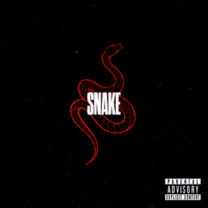 SNAKE by Architect The Dreamer