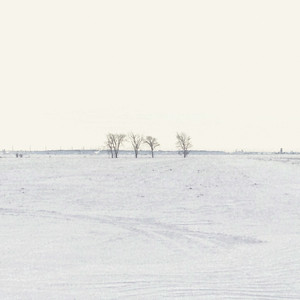 L'isle by Rosie Valland