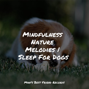 Mindfulness Nature Melodies | Sleep For Dogs album