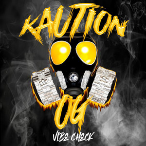 Vibe Check