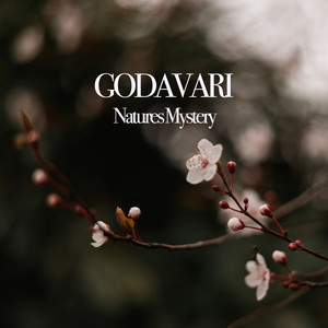 Silent Meadow by Godavari
