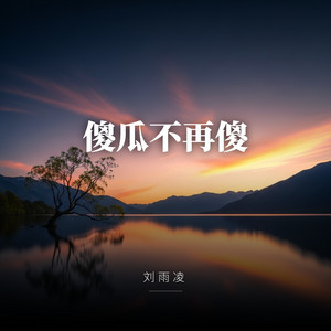 傻瓜不再傻 by 刘雨凌