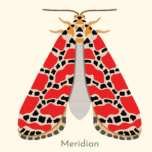 Meridian by Michael Emenau