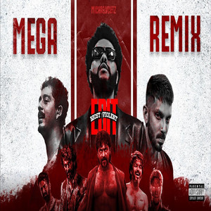 Nandu Reddy - Multifandom