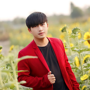 Zaj Dub - Koj Puas Tu Siab Li Kuv Zajdub