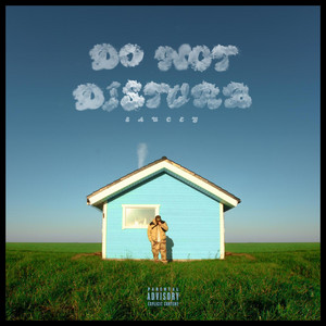 Do Not Disturb