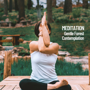 Meditation: Gentle Forest Contemplation album