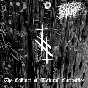 Beyond Shame - What It Feels Like For a Girl