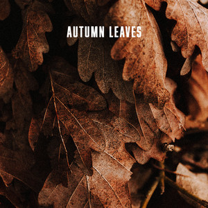 Autumn Leaves by Xiliah Roth