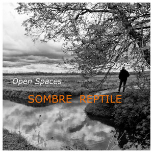 SENSE OF WONDER | Spotify