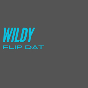 WILDY - FLIP DAT