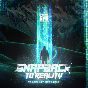 Snapback to Reality by Predatory Meerkats