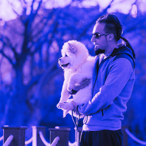 Backdrop for Brave Doggy album