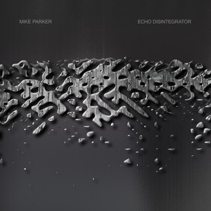 album cover: Echo Disintegrator