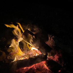 burn, campfire, burn by Leila Holman