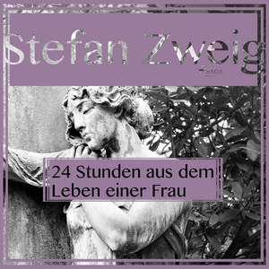 Vierundzwanzig Stunden aus dem Leben einer Frau (Ungekürzt)