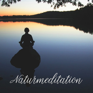 Naturmeditation: Lugnande Ljud från Naturen för Meditation, Kontemplation, Yoga, Avslappning, Sömn album