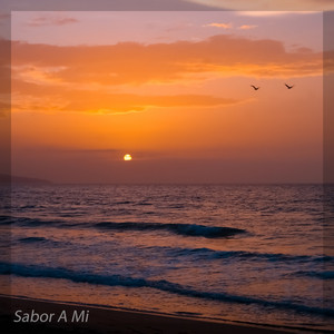 Sabor A Mi by Suite In The City