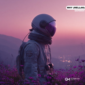Why (Mellan) by GAFAROV
