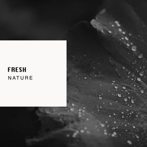 # 1 Album: Fresh Nature album